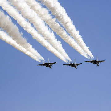 Republic Day flypast: How 1,270 kg of chicken will keep Delhi’s skies bird-free