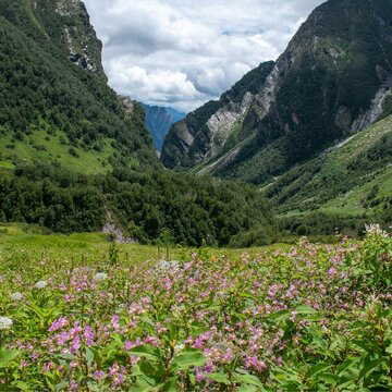 Planning a monsoon getaway? Uttarakhand’s UNESCO-listed Valley of Flowers reopens for visitors