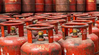 Why govt suddenly doubled LPG supply for migrant workers amid fuel crunch