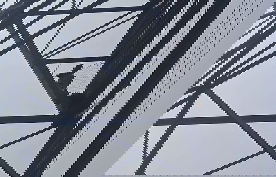 12-year-old climbs electric pole in Rajasthan to protest sister’s disappearance