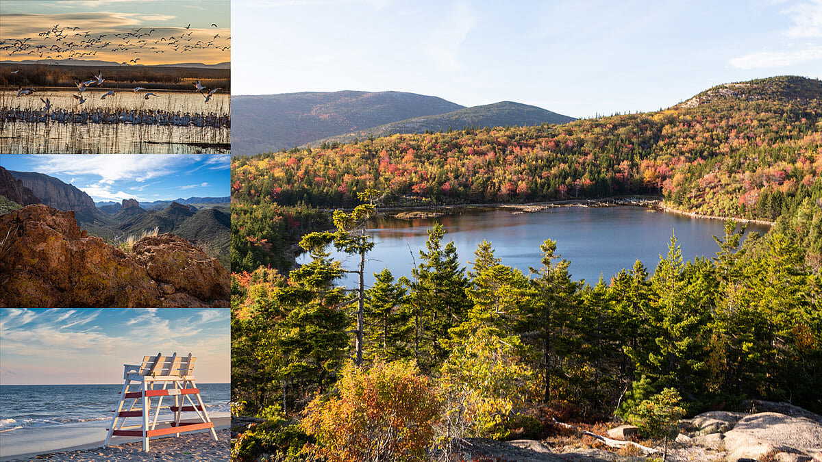 Top US destinations for birdwatching during winter