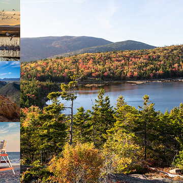 Top US destinations for birdwatching during winter