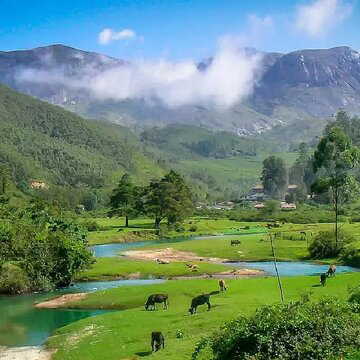 Planning a trip to Anamudi? Here’s why this Western Ghats peak is captivating travellers