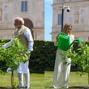 ‘Special Strategic Partnership’: India, Italy upgrade ties as PM Modi, Giorgia Meloni plant tree in Rome