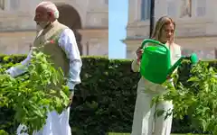 ‘Special Strategic Partnership’: India, Italy upgrade ties as PM Modi, Giorgia Meloni plant tree in Rome