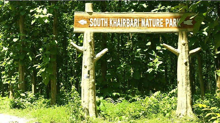 Forest officer rejects promotion, chooses lifelong bond with rescued leopards