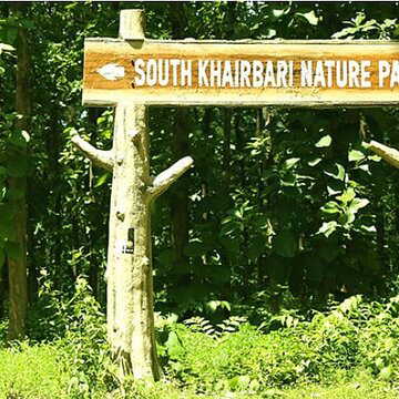 Forest officer rejects promotion, chooses lifelong bond with rescued leopards