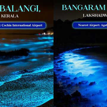What is bioluminescence? Here are some places in India where you can witness this phenomenon