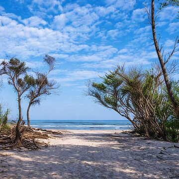 Looking for a weekend getaway? Visit this quiet island near Kolkata