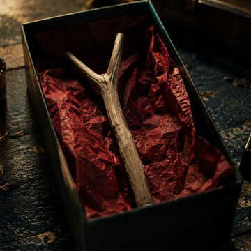What is the One Wish Willow? The fictional cursed item from 'Obsession' now has the internet hooked