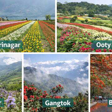 India in full bloom: 6 flower destinations you shouldn’t miss this April