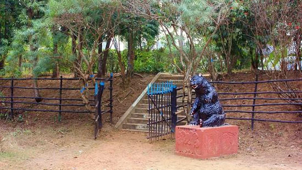 To beat the 'post-festive blues', take your car and head out to Vhalki Machan