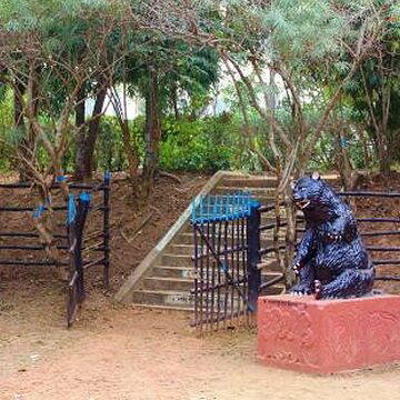 To beat the 'post-festive blues', take your car and head out to Vhalki Machan