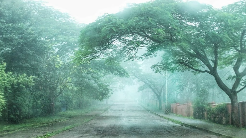 Sal forests, red soil and endless mist: Why Saranda’s Twin Hills are a dream weekend escape