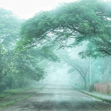 Sal forests, red soil and endless mist: Why Saranda’s Twin Hills are a dream weekend escape