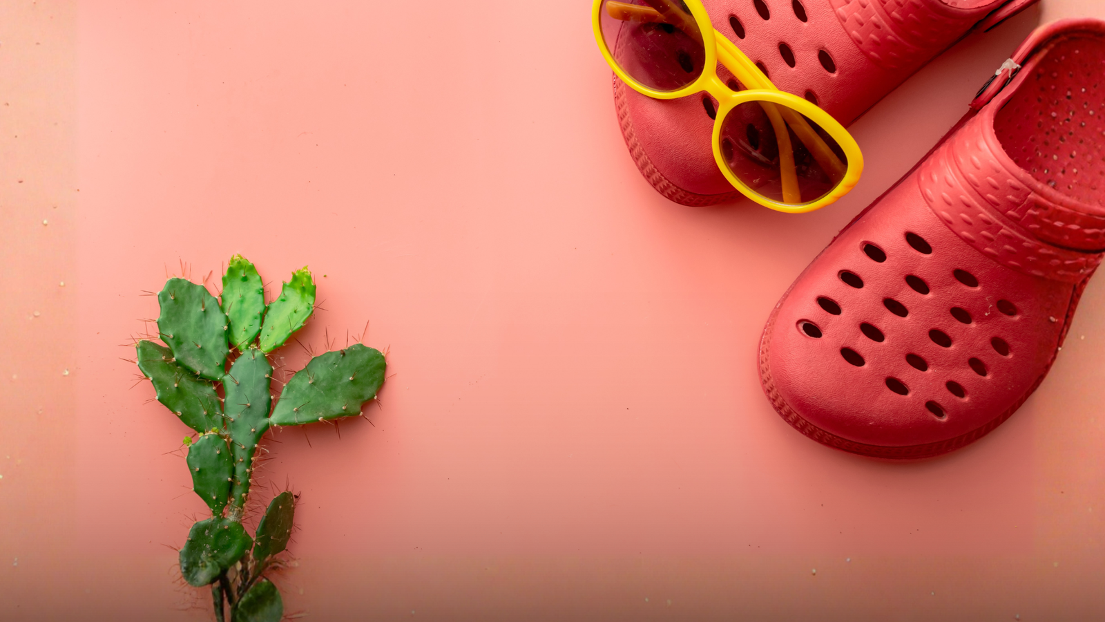 Wearing clogs every day? Orthopaedic surgeon warns of long-term foot damage