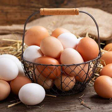 FSSAI clarifies safety concerns around eggs, debunks cancer causing eggs theory