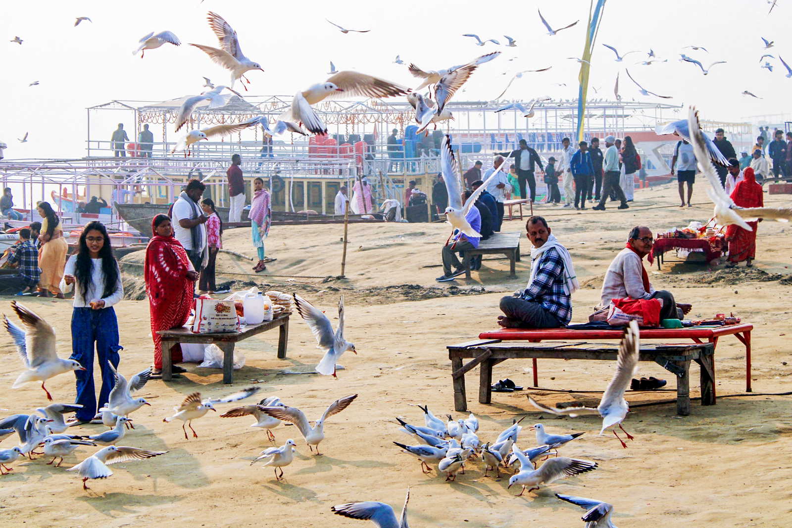 Winter-exclusive wildlife: 5 species you can see only in the cold season