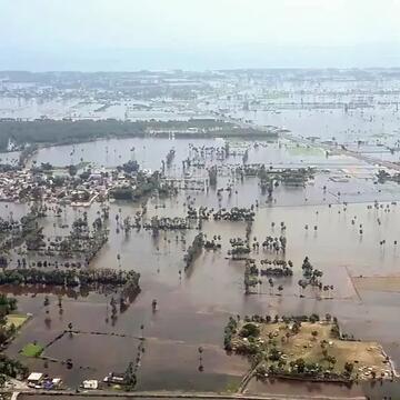 Cyclone Montha leaves trail of destruction in Andhra: Three dead, over 1.5 lakh acres of crops damaged