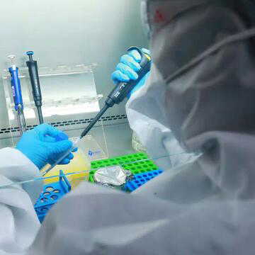 Is a new coronavirus emerging? Scientists discover bat strain in Thailand with 'possible human infection potential'