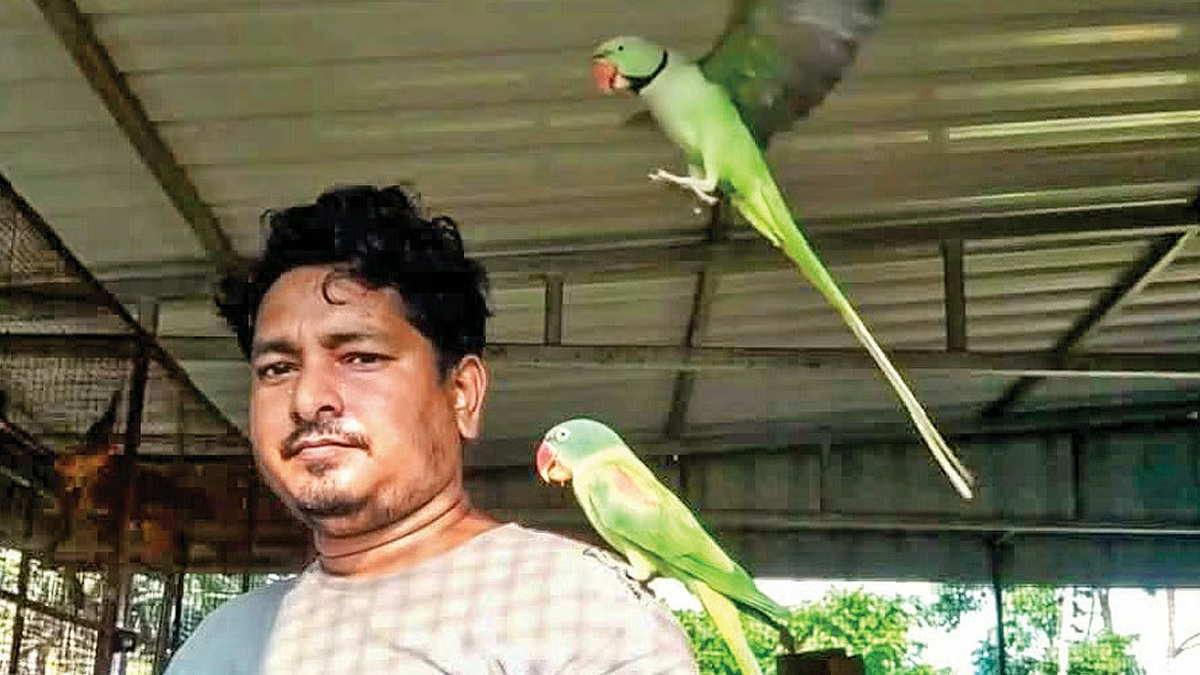 Kolaghat man reunites with lost parrot Sonai after 10 days, thanks to Facebook search