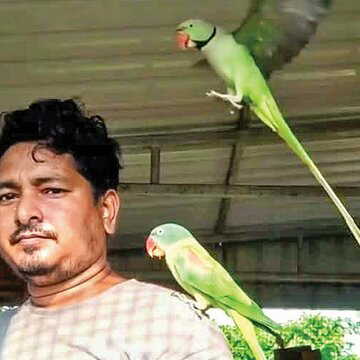 Kolaghat man reunites with lost parrot Sonai after 10 days, thanks to Facebook search