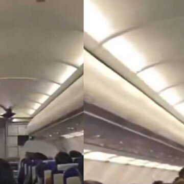 Watch | Pigeon enters IndiGo flight ahead of takeoff while airline faces unprecedented service breakdown