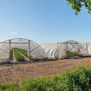 Jhargram pushes for polyhouse farming to boost farmers’ income