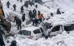 Massive avalanche at Zoji La kills 7, several vehicles buried; Srinagar-Leh highway shut