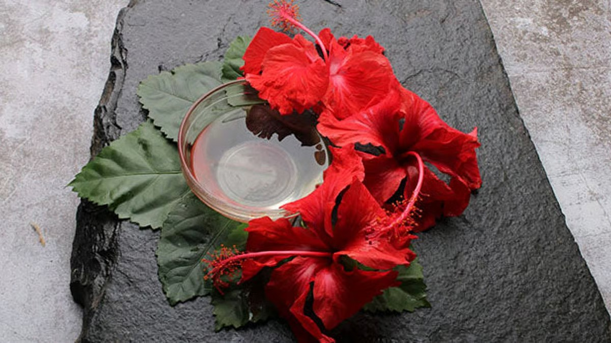 Hibiscus for hair: how a single flower can transform your hair routine