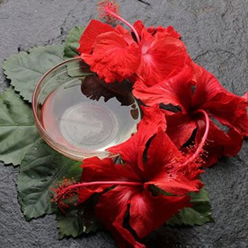 Hibiscus for hair: how a single flower can transform your hair routine