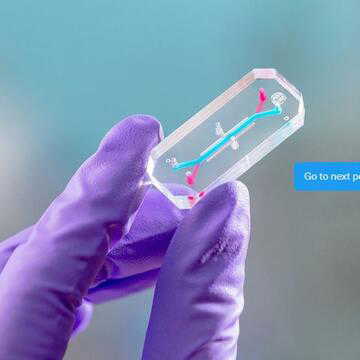 NASA’s AVATAR experiment sends astronaut organ chips to space to study how the body reacts.