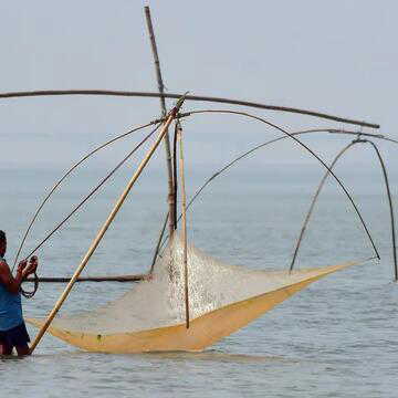 Rough seas, heavy rain and storm alerts: IMD issues fresh warnings