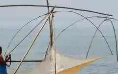 Rough seas, heavy rain and storm alerts: IMD issues fresh warnings