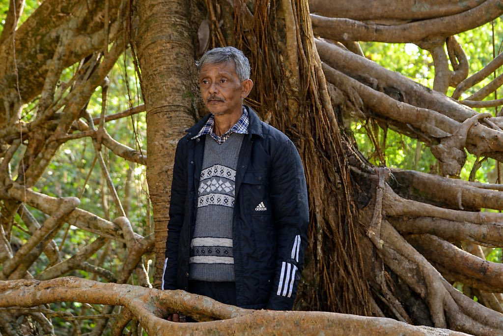From childhood play to Padma Shri: Hally War, the Meghalaya man behind the world’s living root bridges