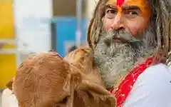 Farsa Baba run over or accident? Protesters clash with police in Mathura