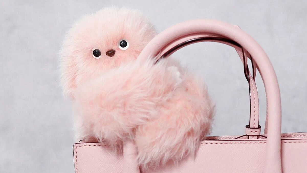 Meet Mirumi, the cute robot doll replacing Labubu on social media