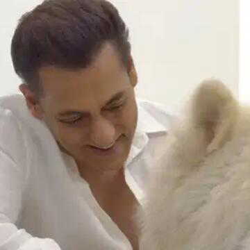 Salman Khan’s Eid 2027 film is confirmed: Here’s what we know so far