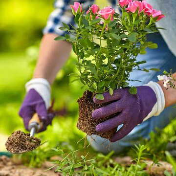 Travelling this winter? Here's how to protect your indoor plants while you’re away