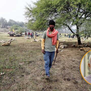 Mystery death of 170 sheep in Lucknow sparks panic, food poisoning angle being probed