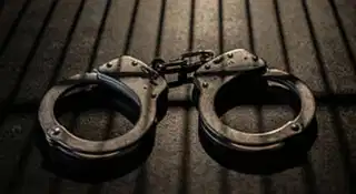 Toy car bomb plot in Delhi Mumbai raids expose IS-inspired terror module