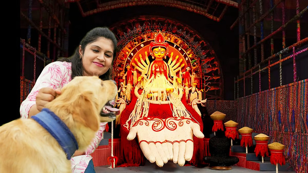 Pandal hopping with pets: Essential tips to keep your pet safe and comfortable during Durga Puja