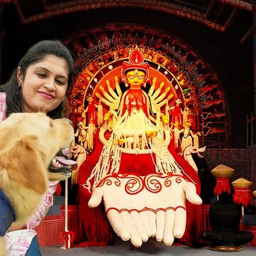 Pandal hopping with pets: Essential tips to keep your pet safe and comfortable during Durga Puja