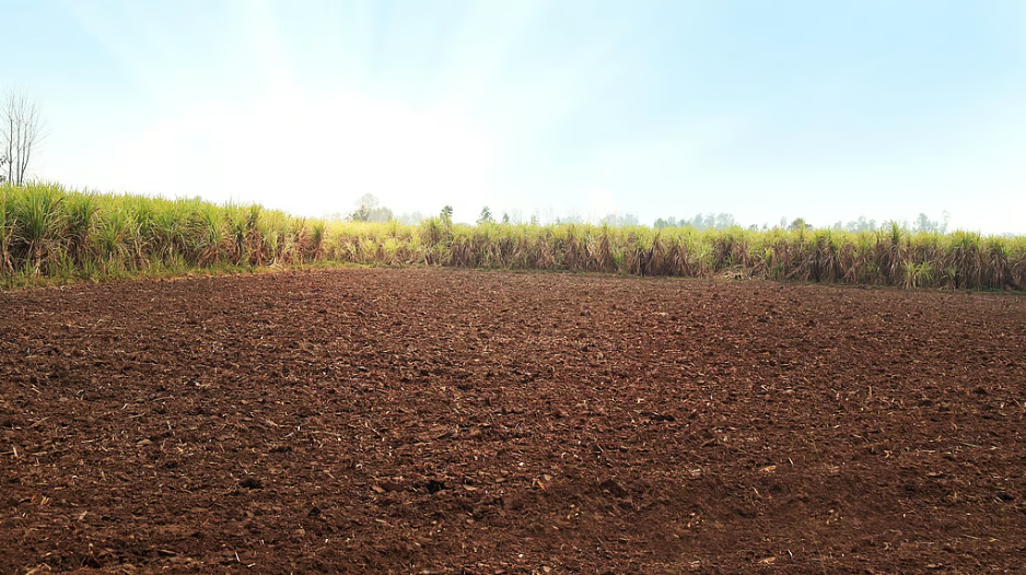 West Bengal government allocates 150 acres for two organizations in an effort to welcome industrialization