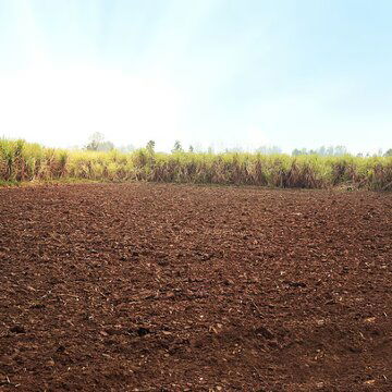 West Bengal government allocates 150 acres for two organizations in an effort to welcome industrialization