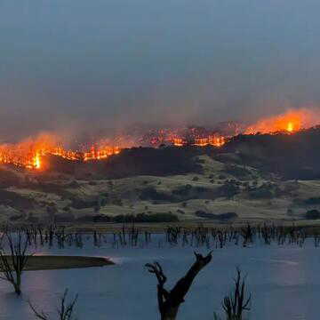 Bushfires rage across Victoria, claim 60-year-old's life; state of DISASTER declared
