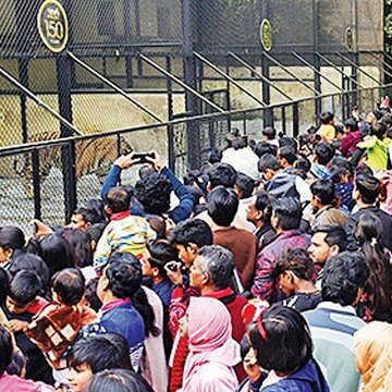 Eco Park's resounding success, zoo falls behind in crowds