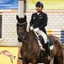 Who is Anush Agarwalla? India's top dressage rider moves Delhi HC over Asian Games selection