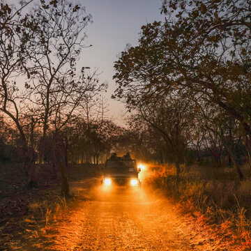 Top 10 wildlife parks in India to redefine your photography skills, a complete guide