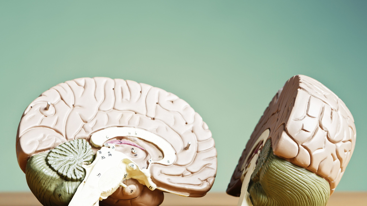Can this popular diet could be your brain's best defense? Here's what new research says
